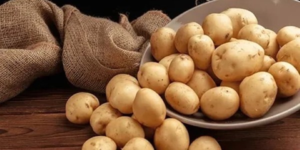 تصویر 5 از خرید و قیمت سیب زمینی ارگانیک + فروش صادراتی